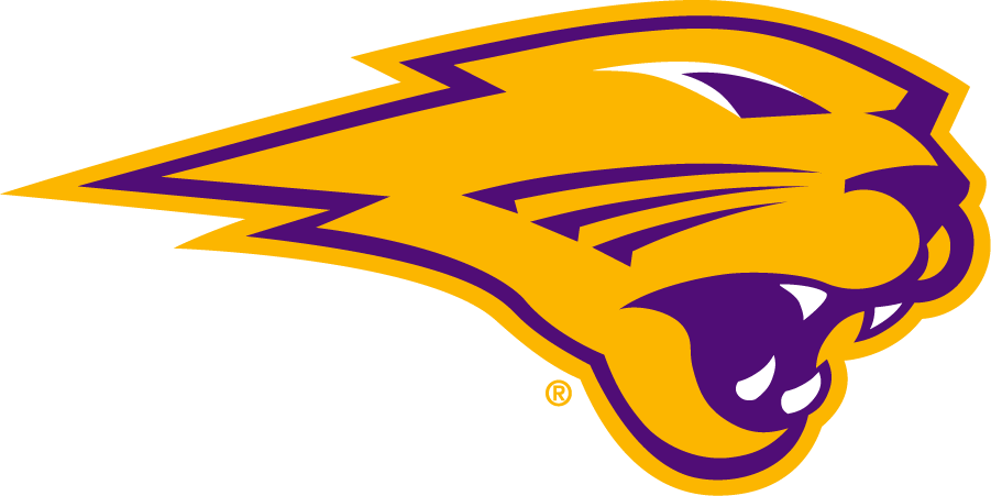 Northern Iowa Panthers 2021-Pres Secondary Logo v2 diy iron on heat transfer...